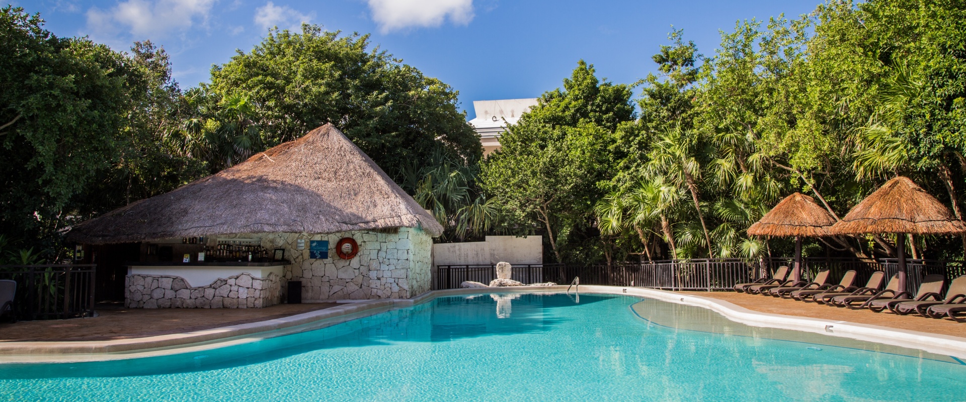 La tortuga Sandos Caracol min