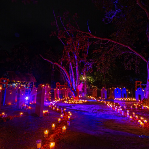 Special Decorations and Areas