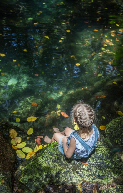Cenote Tortuga Sandos Caracol