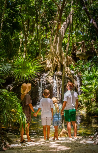 All Nature Experience