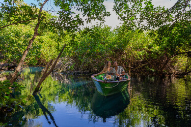 Sandos_Caracol_Paseo-Maya-375x250.