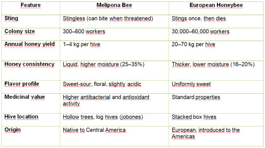 Melipona-Bee_Tabla_Blog_Ing_540x303